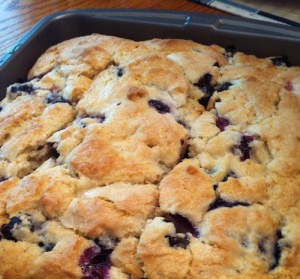 Blueberry Buttermilk Breakfast Cake (A Seat at the Table)